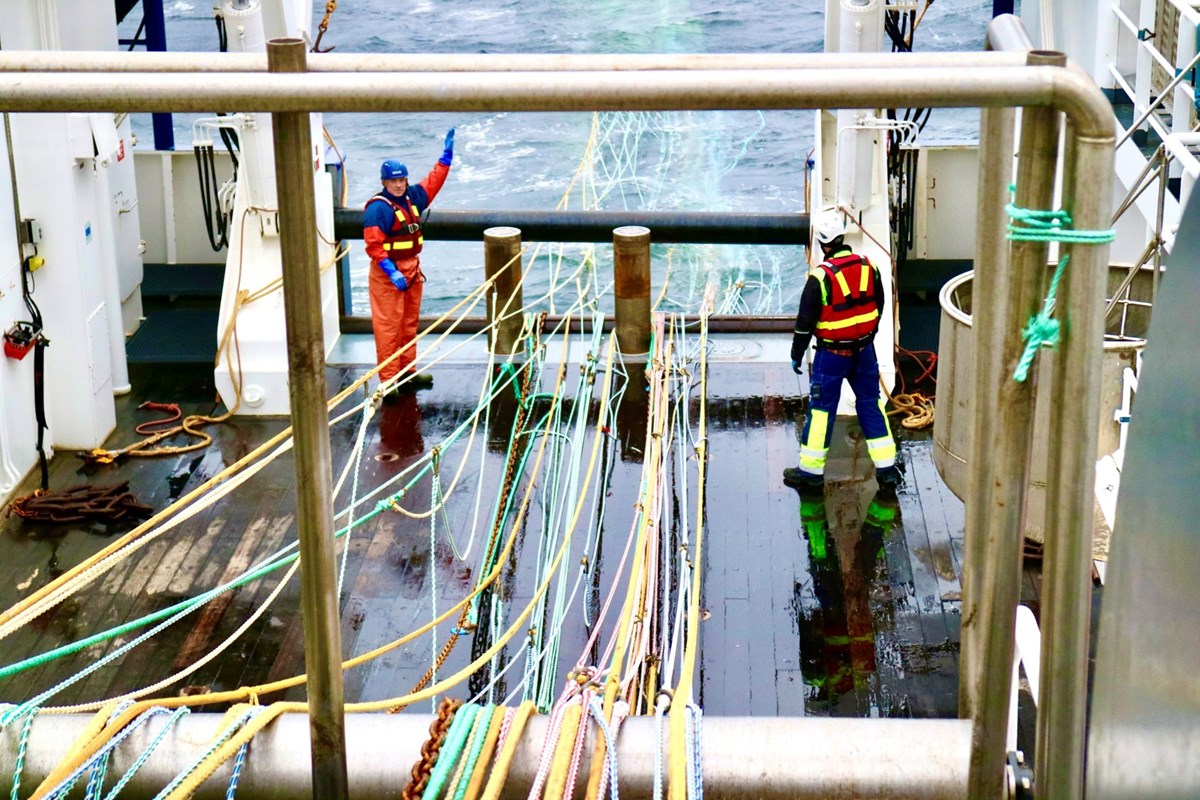 två personer trålar fisk från fartyget Svea.