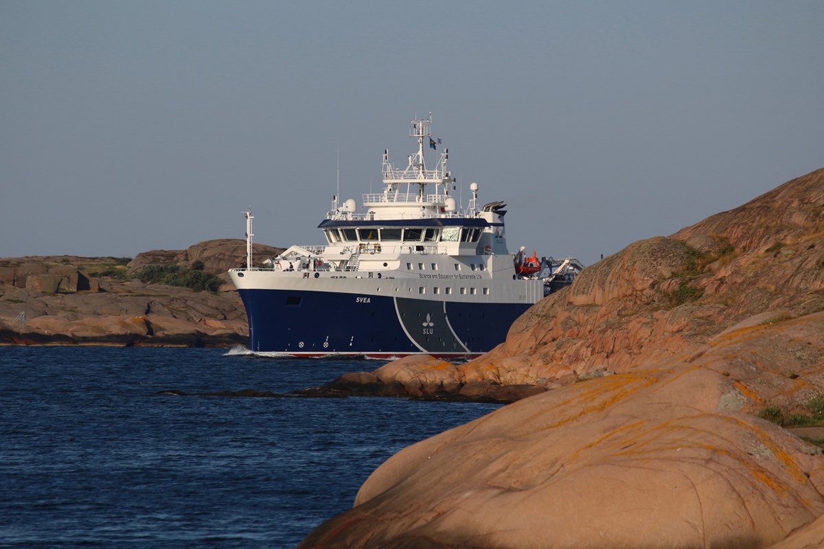 Klippor, fartyget Svea i bakgrunden, vatten