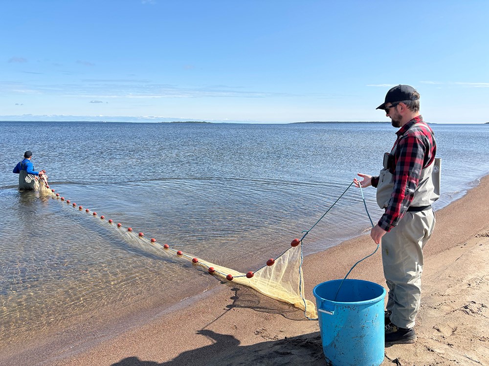Fiskeutredningsgruppen på Länsstyrelsen Norrbotten drar not tillsammans på en av flera platser i Luleå skärgård.