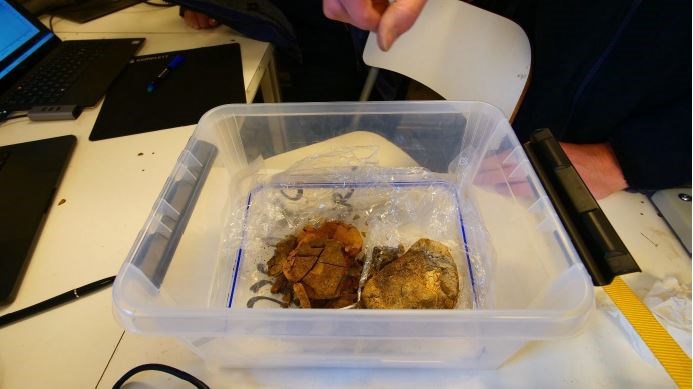 Sten som är 8 miljoner år gammal