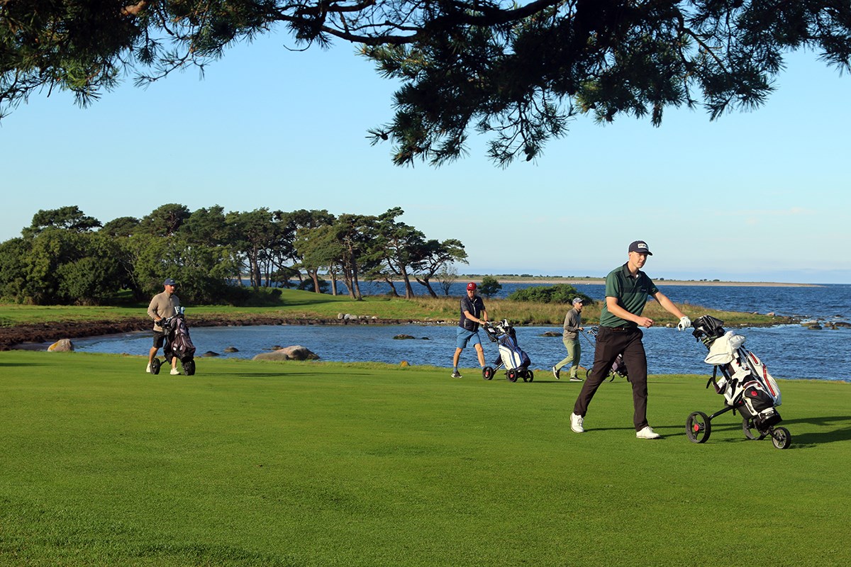Fyra spelare går med sina golfbagar. I bakgrunden vindpinade träd och öppet vatten